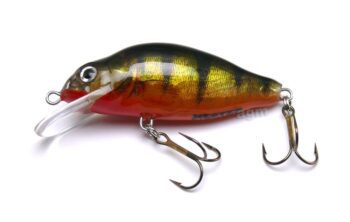 Hester 2in Perch Floater Holo Perch