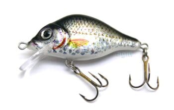 Hester 2in Carp Floater Silver Roach