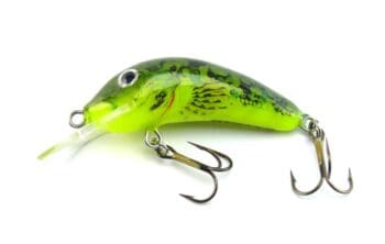 Hester Small Fry Bullhead