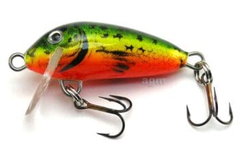 Hester Mini Small Fry Firetiger