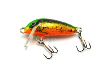 Hester Mini Small Fry - Firetiger