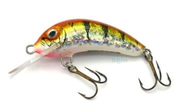 Hester Small Fry Tiger