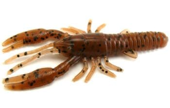 AGM 3in Crayfish Pumpkinseed 8pcs