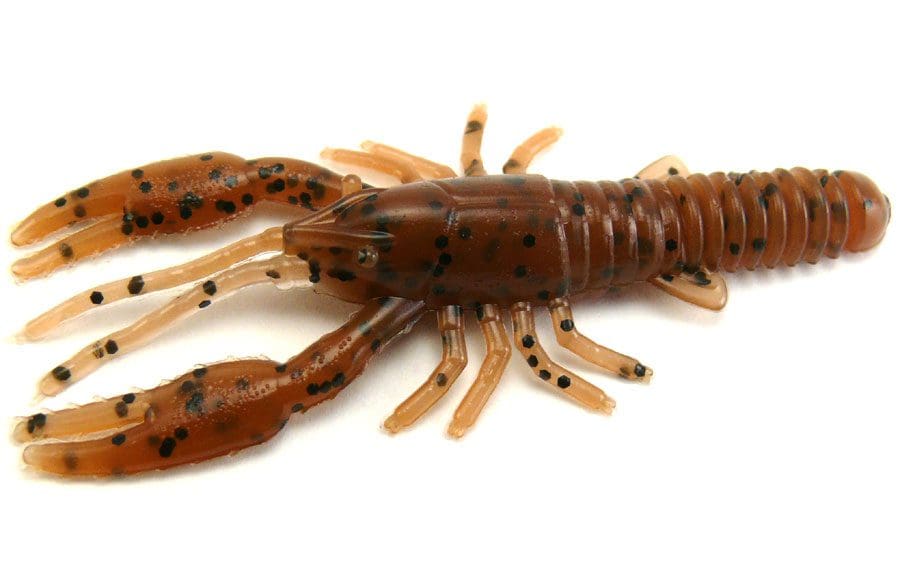 Agm 3In Crayfish Pumpkinseed 8Pcs