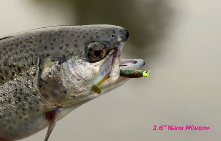 Crazy Fish 1.6&Quot; Nano Minnow - 6 Chartreuse (8Pcs)