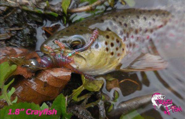 Crazy Fish 1.8&Quot; Crayfish - 54 Green Acid (8Pcs)