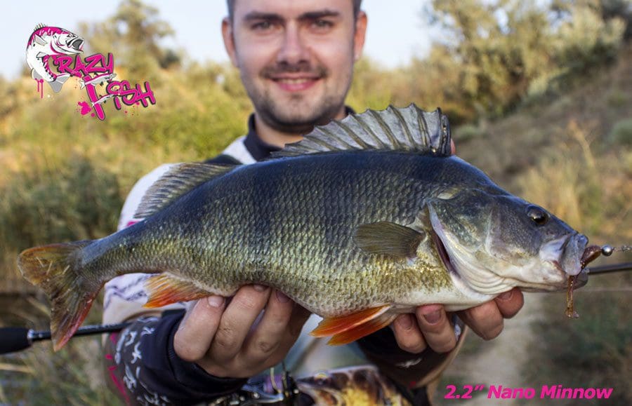 Crazy Fish 2.2&Quot; Nano Minnow - 12 Ultraviolet (8Pcs)