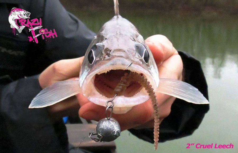 Crazy Fish 2&Quot; Cruel Leech - 50 Pink Flamingo (8Pcs)