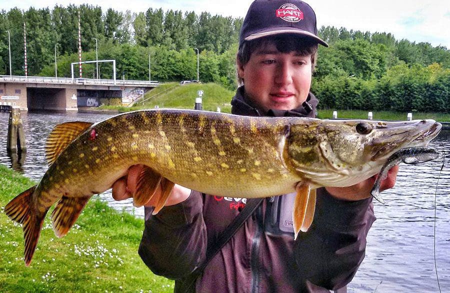 Crazy Fish 5&Quot; Tough - 10D Natural (5Pcs)