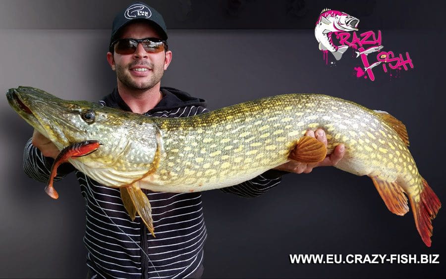 Crazy Fish 5&Quot; Tough - 10D Natural (5Pcs)