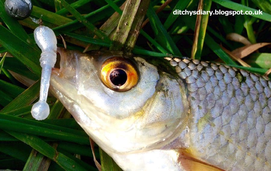 Crazy Fish 0.8&Quot; Whitebait - 6 Chartreuse &Amp; 49 Snow White (20Pcs)