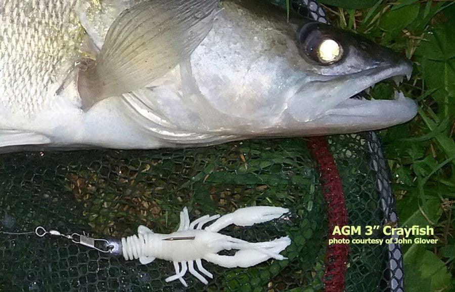 Agm 3&Quot; Crayfish - Pumpkinseed (8Pcs)