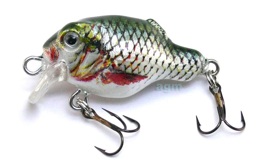 Hester 1.2In Guppy Roach