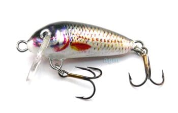 Hester Mini Small Fry Roach