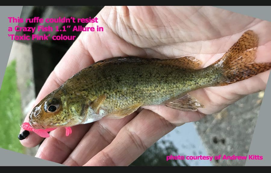 Crazy Fish 1.1&Quot; Allure - 9 Caramel (10Pcs)