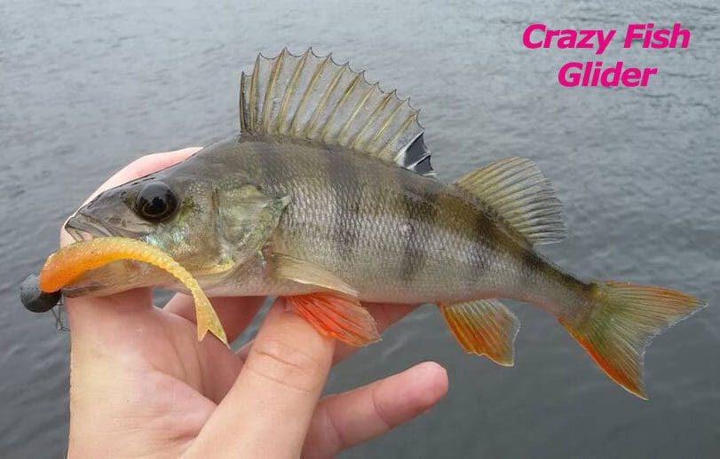 Crazy Fish 3.5&Quot; Floating Glider - 3D Swamp Pearl (8Pcs)