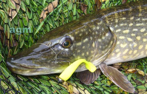 Big Hammer 3&Quot; Swimbait - Silver Phantom (5Pcs)