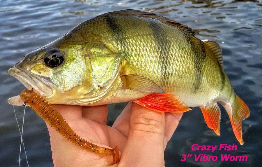 Crazy Fish 3&Quot; Vibro Worm - 64 Fluo Orange (5Pcs)