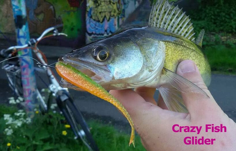 Crazy Fish 3.5&Quot; Floating Glider - 3D Swamp Pearl (8Pcs)