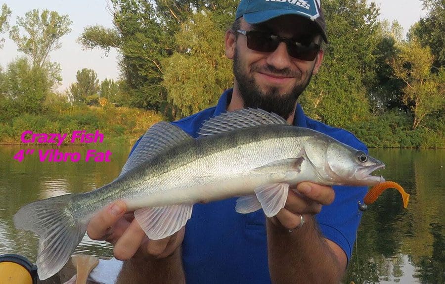 Crazy Fish 4&Quot; Vibro Fat - 3D Swamp/Pearl (4Pcs)