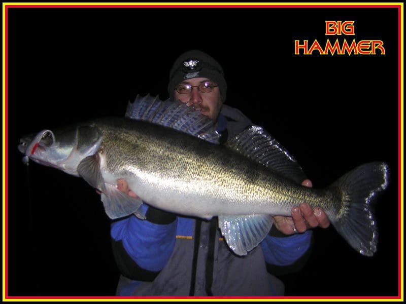 Big Hammer 5&Quot; Hand Poured Swimbait - Creeping Death (4Pcs)