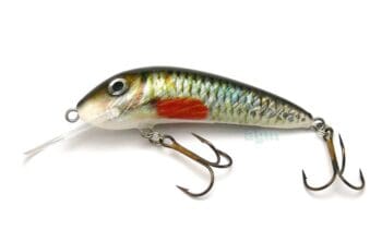 Hester 2.5in Skipper Holo Roach