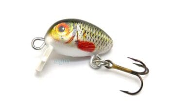 Hester Nano Crankbait Roach