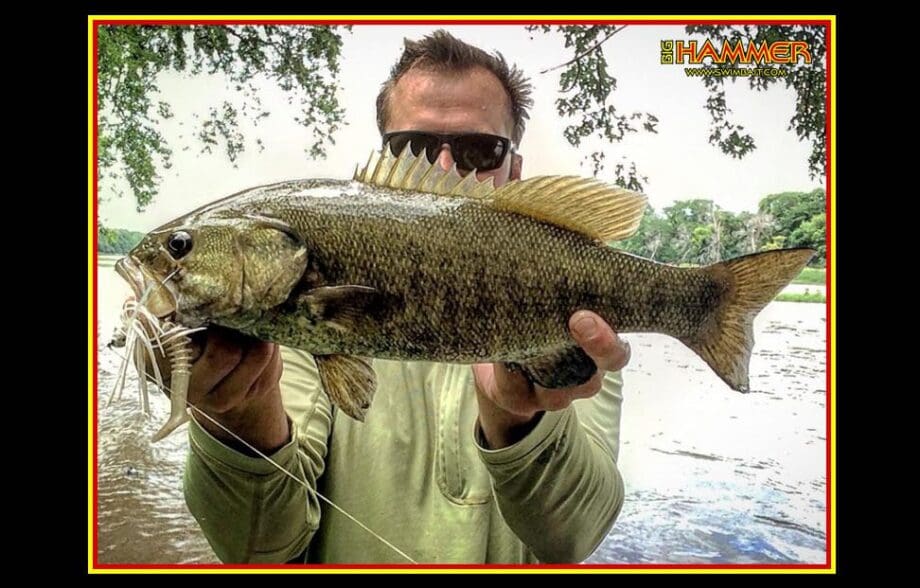 Big Hammer 4&Quot; Ring Hammer - Green Pumpkinseed (5Pcs) - Image 3