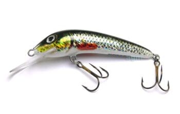 Hester 3.25in Skipper Holo Roach