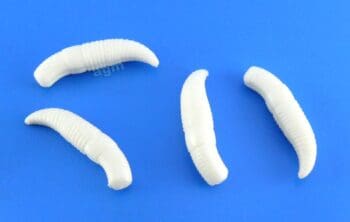 Crazy Fish 1.2in MF Baby Floating Worm 59 White 12pcs