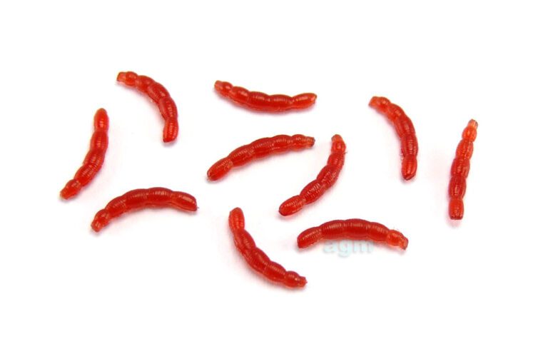 Agm Bloodworm