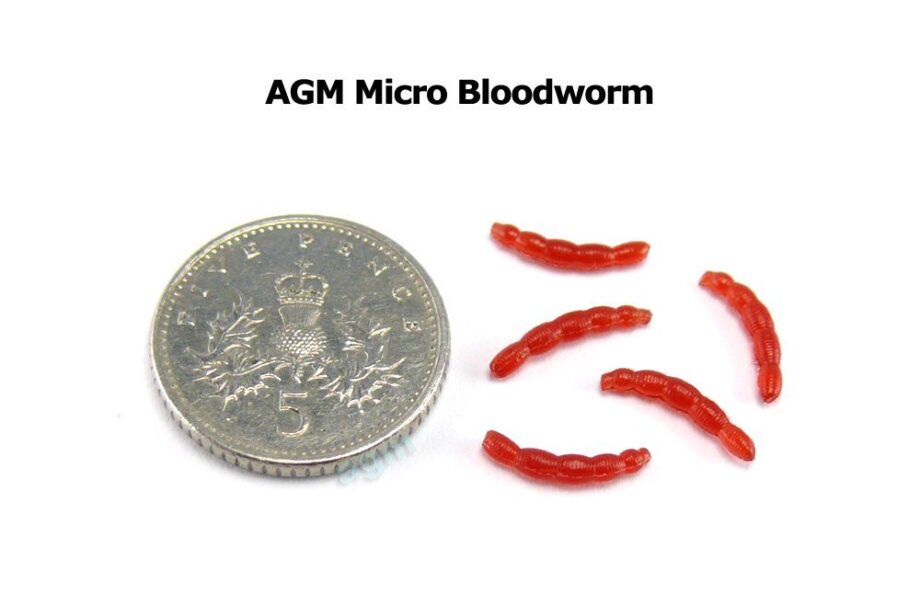 Agm Micro Bloodworm - Red (60Pcs) - Image 3