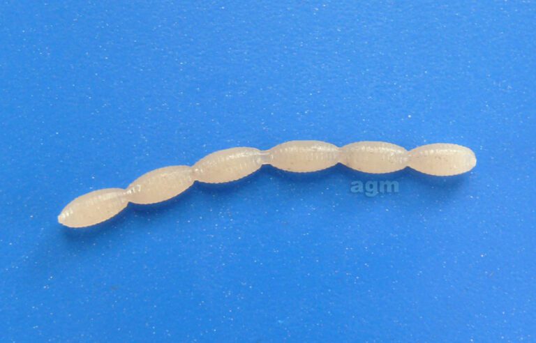Nikko Fly Larvae 084 Glow Pink 30Pcs