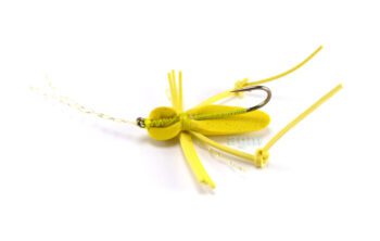 AGM Foam Cricket size 8
